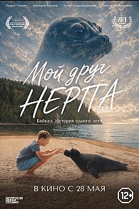 Мой друг нерпа
