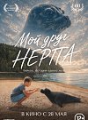 Мой друг нерпа