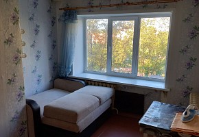 Малосемейка, р-он Красная Ветка