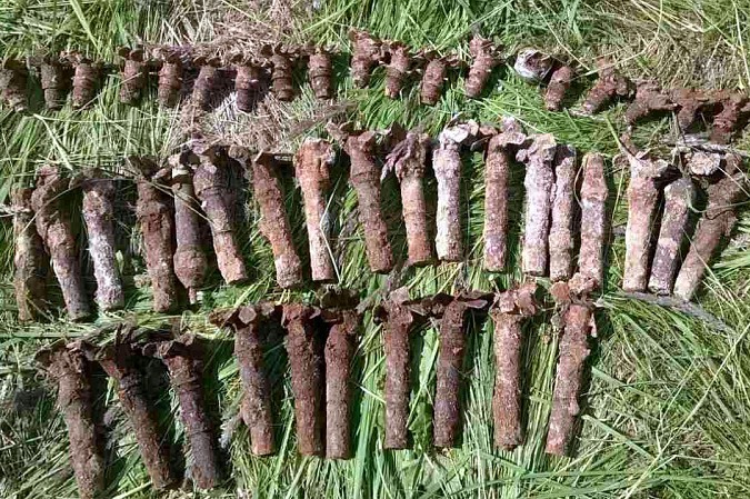 В Иваново сотрудники Росгвардии обезвредили более 200 боеприпасов фото 3