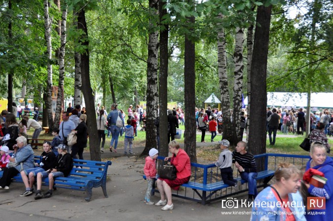 В Кинешме всем миром собрали детей в школу фото 10