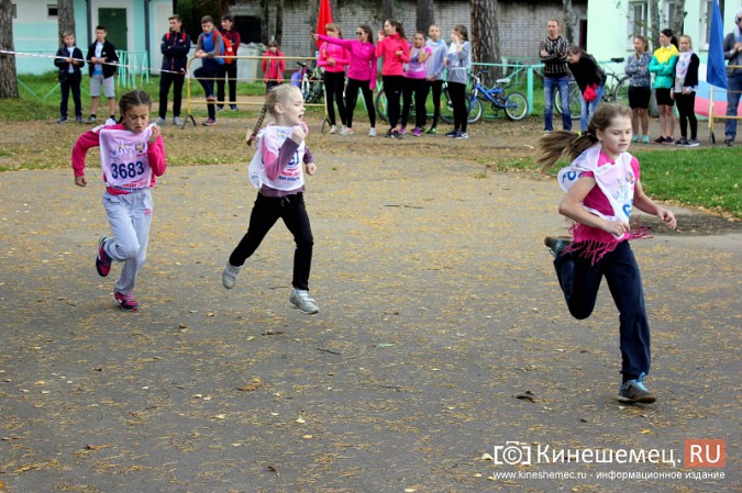 Более 1000 кинешемцев присоединились к Всероссийскому дню бега фото 18