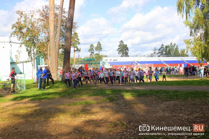 Более 1000 кинешемцев присоединились к Всероссийскому дню бега фото 16