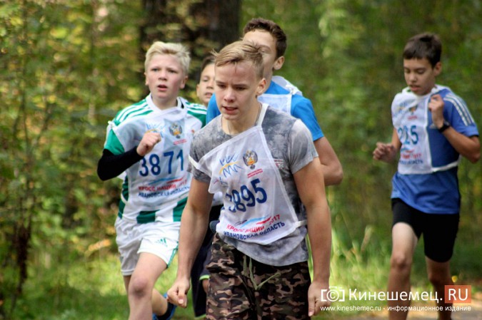 Более 1000 кинешемцев присоединились к Всероссийскому дню бега фото 42