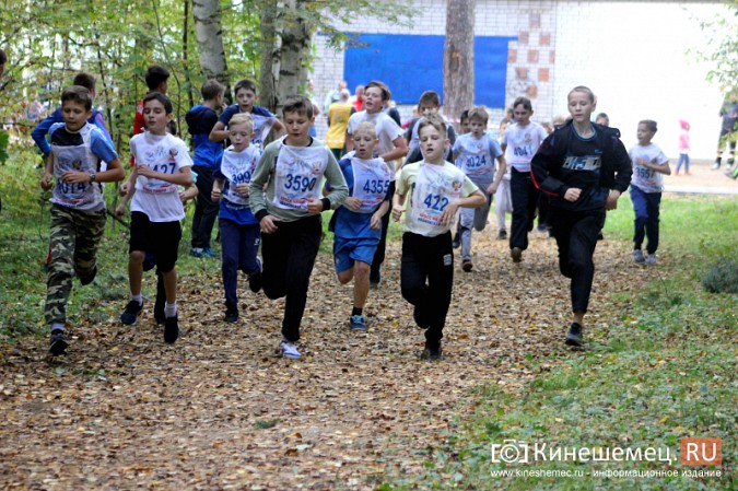 Более 1000 кинешемцев присоединились к Всероссийскому дню бега фото 39