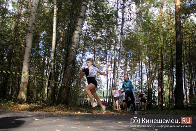 Более 1000 кинешемцев присоединились к Всероссийскому дню бега фото 51