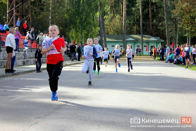 Более 1000 кинешемцев присоединились к Всероссийскому дню бега фото 22