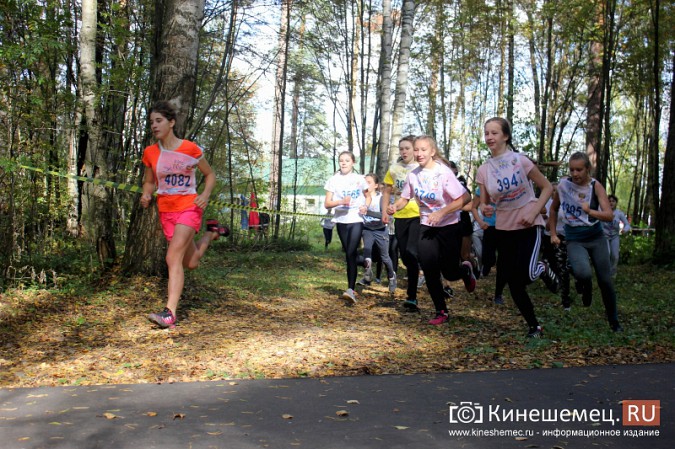 Более 1000 кинешемцев присоединились к Всероссийскому дню бега фото 52