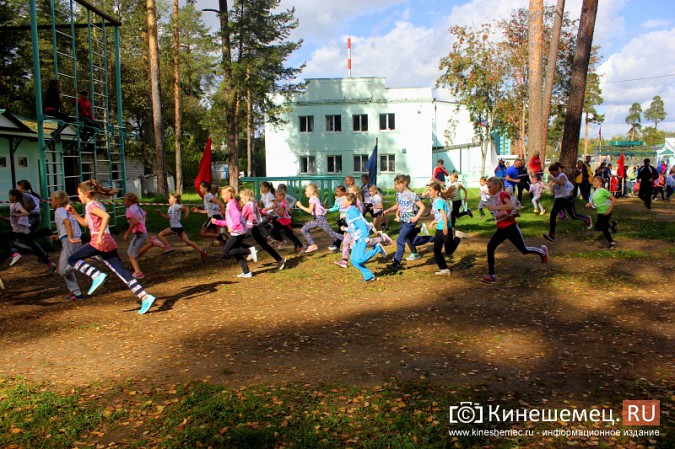 Более 1000 кинешемцев присоединились к Всероссийскому дню бега фото 17