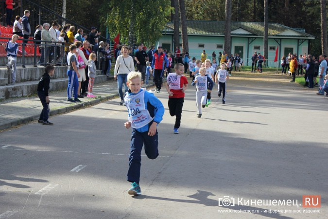 Более 1000 кинешемцев присоединились к Всероссийскому дню бега фото 21