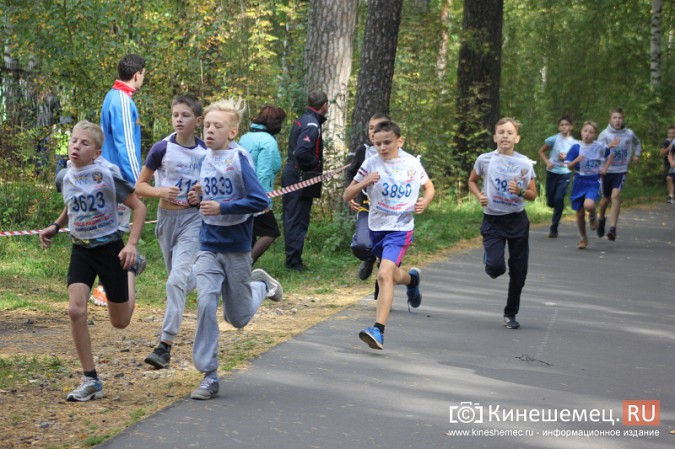 Более 1000 кинешемцев присоединились к Всероссийскому дню бега фото 44