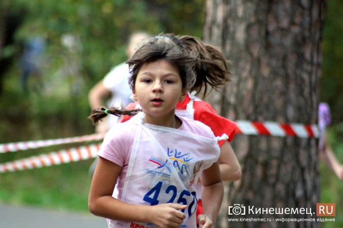 Более 1000 кинешемцев присоединились к Всероссийскому дню бега фото 33