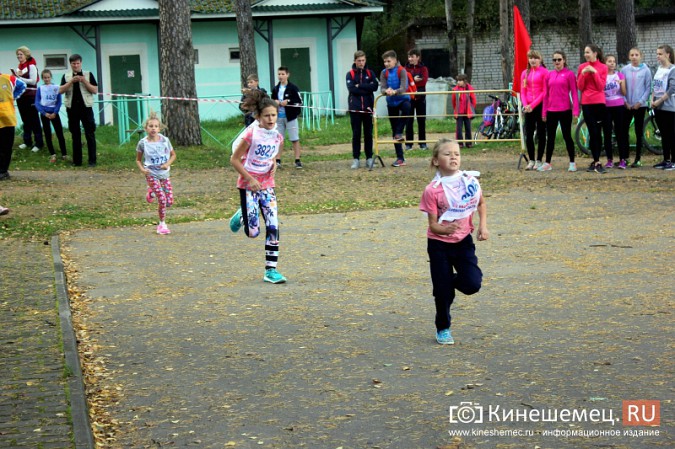Более 1000 кинешемцев присоединились к Всероссийскому дню бега фото 19
