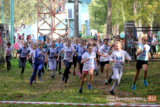 Более 1000 кинешемцев присоединились к Всероссийскому дню бега фото 27