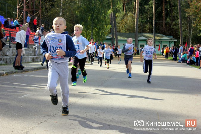 Более 1000 кинешемцев присоединились к Всероссийскому дню бега фото 23