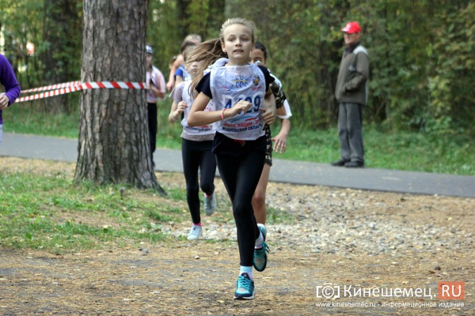 Более 1000 кинешемцев присоединились к Всероссийскому дню бега фото 30
