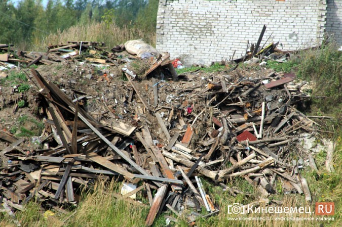В овраге на «Электроконтакте» выросла огромная куча мусора фото 5