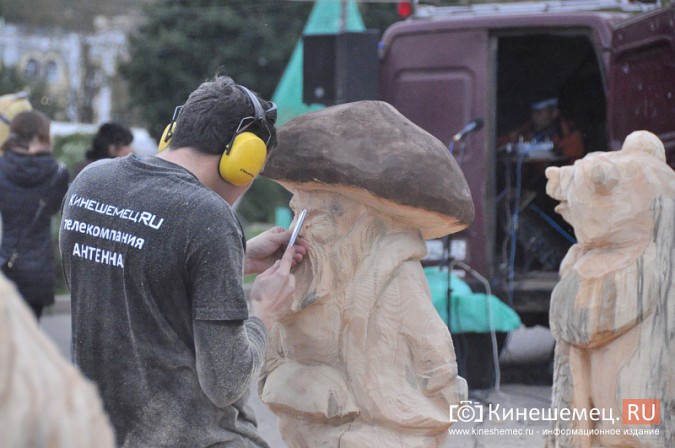В Кинешме с успехом прошел мастер-класс скульпторов по дереву фото 21