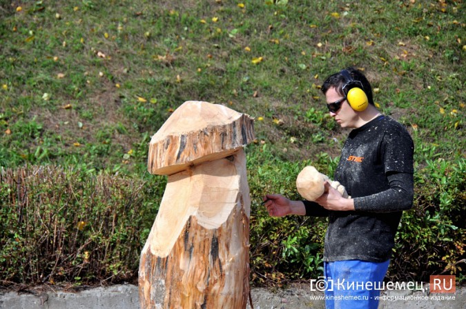 В Кинешме с успехом прошел мастер-класс скульпторов по дереву фото 8