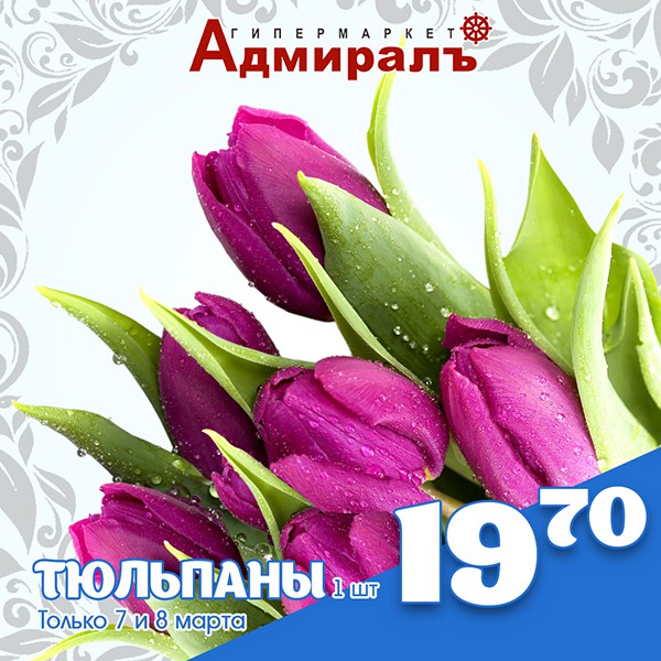 Тюльпаны по 19 рублей 70 коп. в гипермаркетах «Адмирал» фото 2