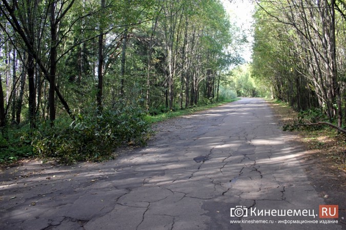 Дорога к детскому лагерю «Радуга» в Ивановской области разваливается окончательно фото 13