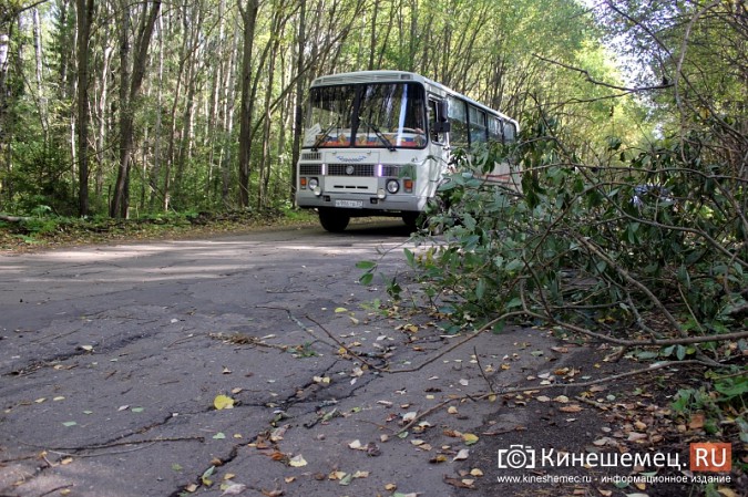 Дорога к детскому лагерю «Радуга» в Ивановской области разваливается окончательно фото 11