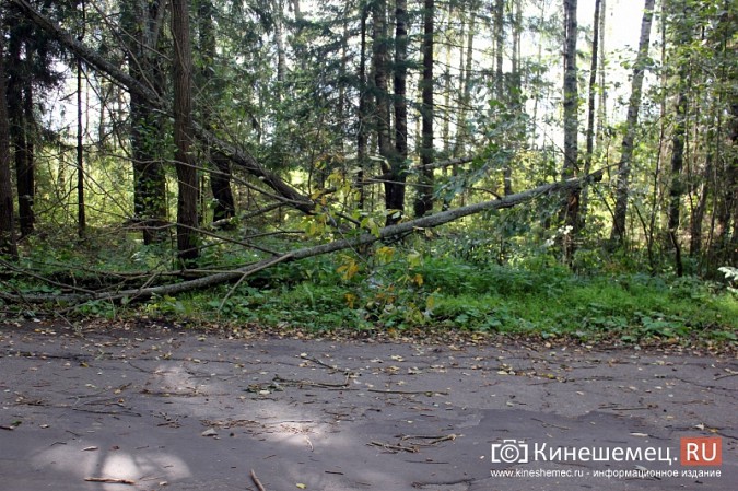 Дорога к детскому лагерю «Радуга» в Ивановской области разваливается окончательно фото 12