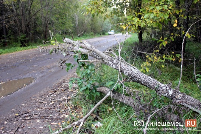 Дорога к детскому лагерю «Радуга» в Ивановской области разваливается окончательно фото 10