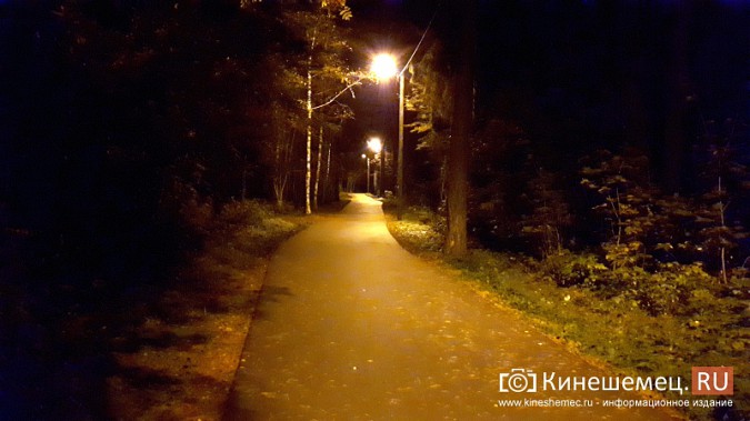 На лыжероллерной трассе в кинешемском парке включили освещение фото 2