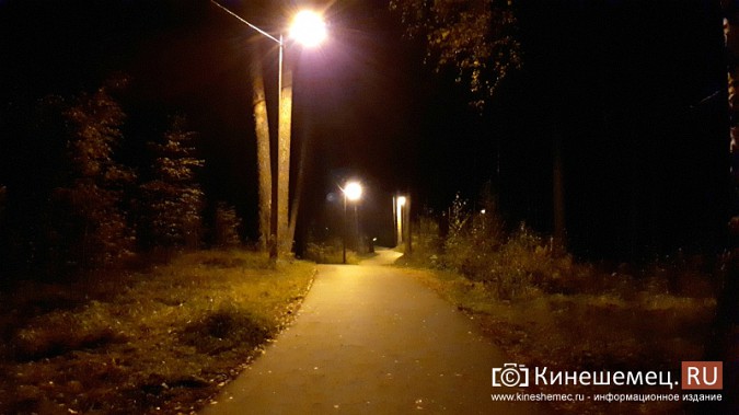 На лыжероллерной трассе в кинешемском парке включили освещение фото 6