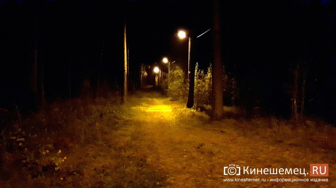 На лыжероллерной трассе в кинешемском парке включили освещение фото 5