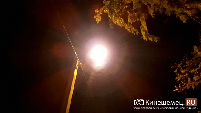 На лыжероллерной трассе в кинешемском парке включили освещение фото 4