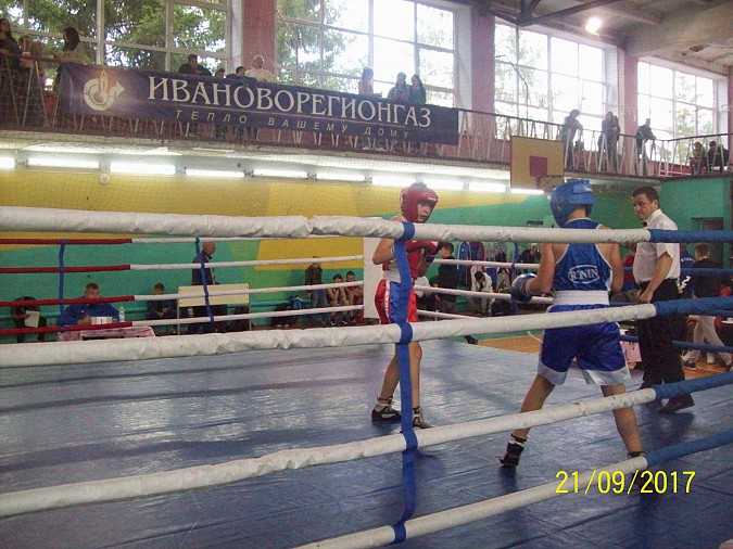 Боксеры трех кинешемских тренеров успешно выступили в Юже фото 5
