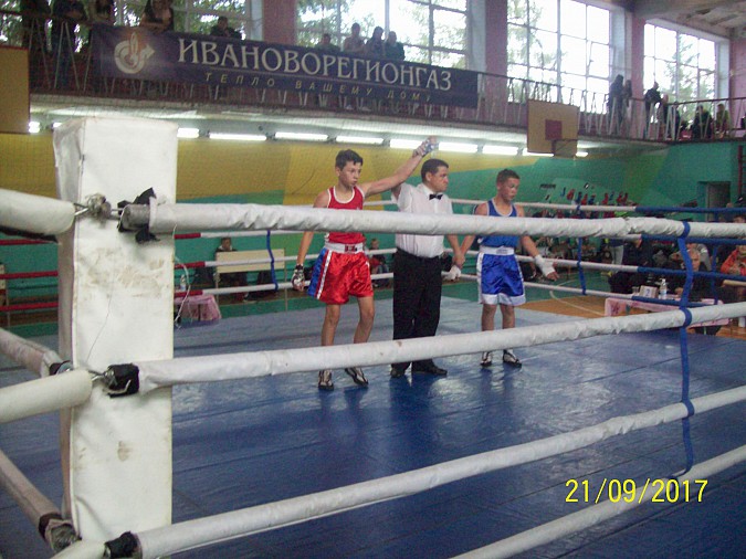 Боксеры трех кинешемских тренеров успешно выступили в Юже фото 6