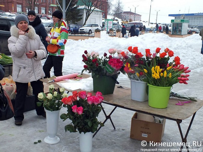 Среди куч грязного снега на главной площади Кинешмы расцвела оранжерея фото 27