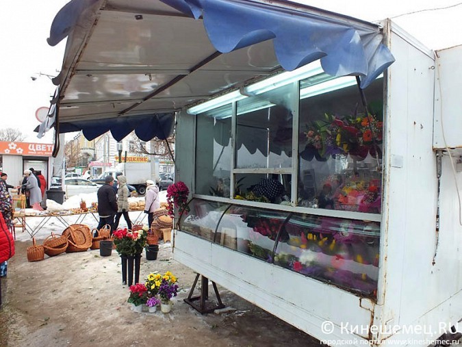 Среди куч грязного снега на главной площади Кинешмы расцвела оранжерея фото 4