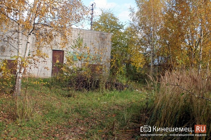 В микрорайоне «Лесозавод» нет свободной земли для пешеходов фото 5