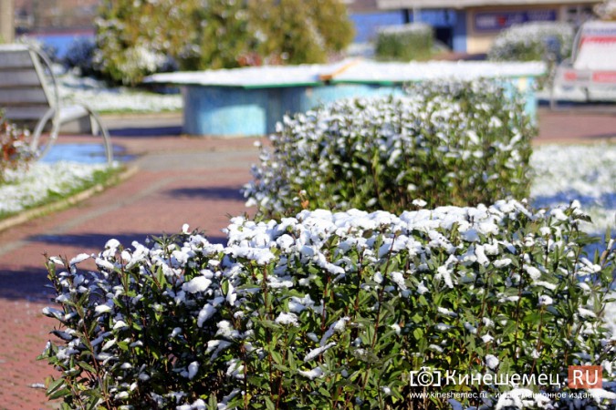 Кинешма похорошела вместе с первым снегом фото 6