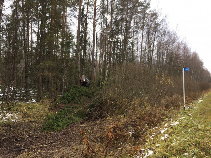 Иномарка в Ивановской области застряла на дереве фото 2