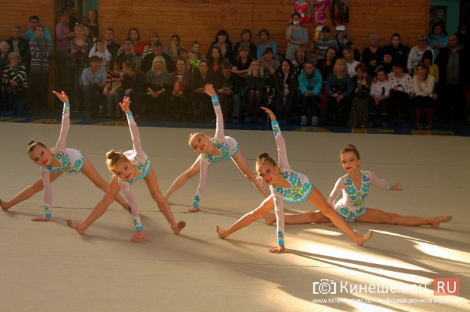 В Кинешме прошел турнир по художественной гимнастике «Золотой листопад» фото 15