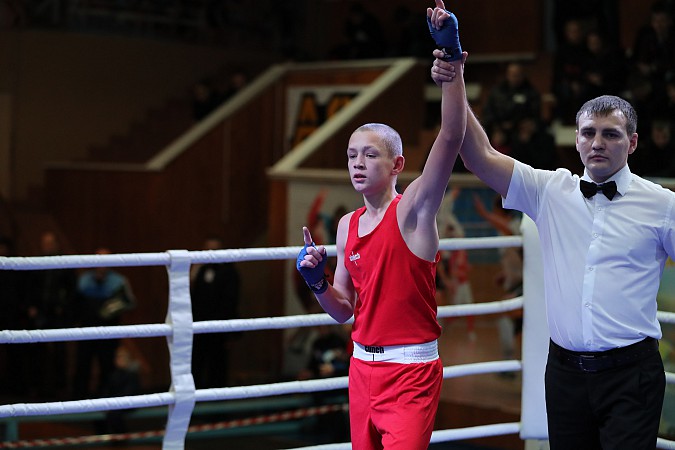 Кинешемский боксер победил на всероссийских соревнованиях фото 6