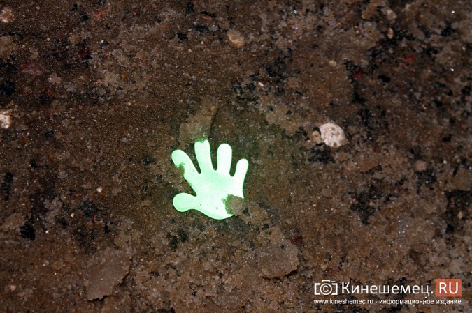 Инспекторы ГИБДД провели танцевальный флешмоб на главной площади Кинешмы фото 6