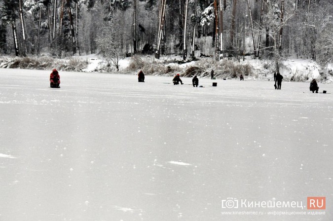 Кинешемских рыбаков штрафами не запугать фото 7