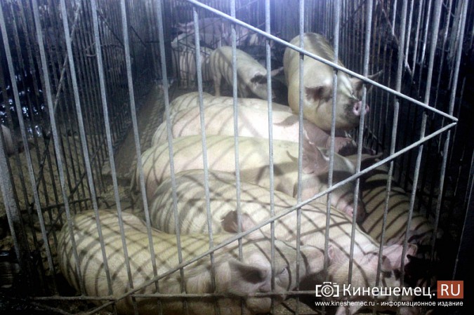 Что производят на кинешемской «четверке» строгого режима? фото 15