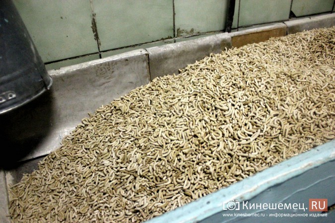 Что производят на кинешемской «четверке» строгого режима? фото 19