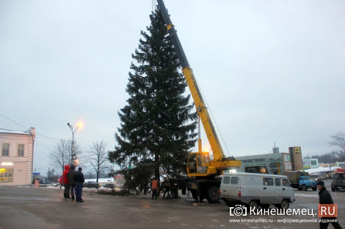 В центре Кинешмы установили главную новогоднюю елку фото 31