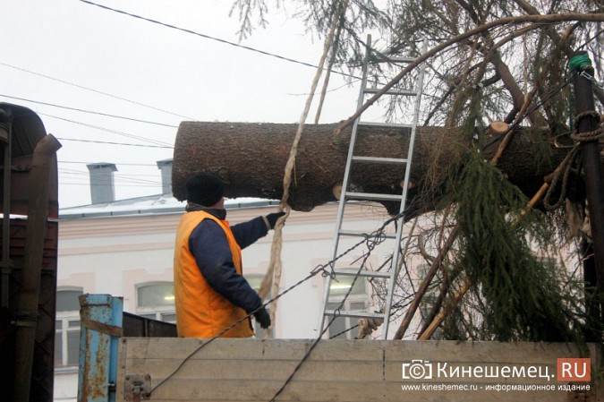 В центре Кинешмы установили главную новогоднюю елку фото 18