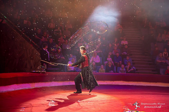 Самая ожидаемая программа сезона  в Ивановском цирке фото 6