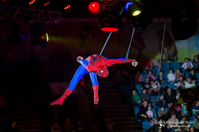 Самая ожидаемая программа сезона  в Ивановском цирке фото 4