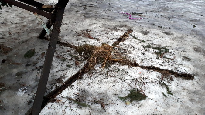 В Кинешме упала новогодняя елка фото 4